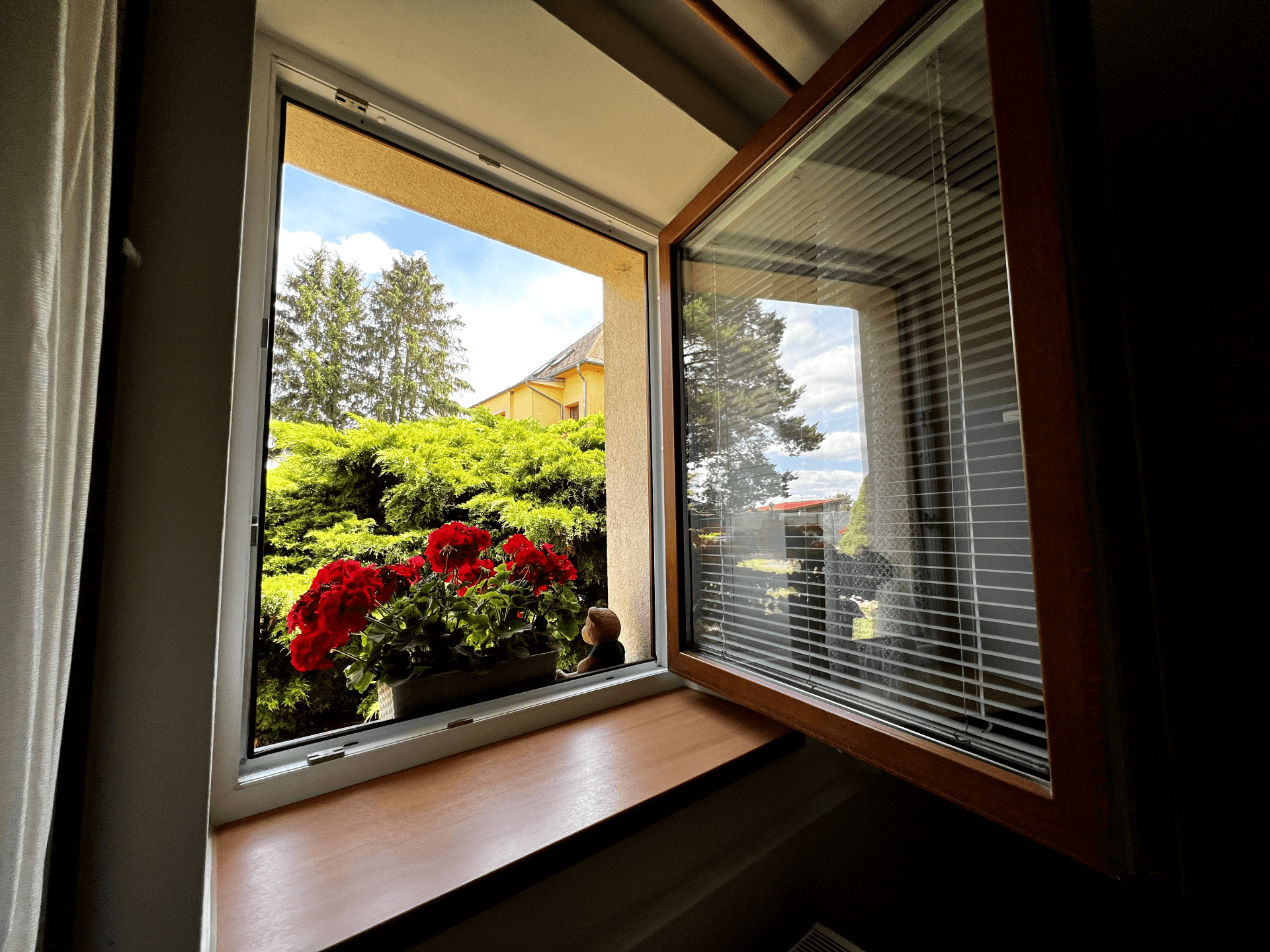 Fotka okna s vhledem do zahrady