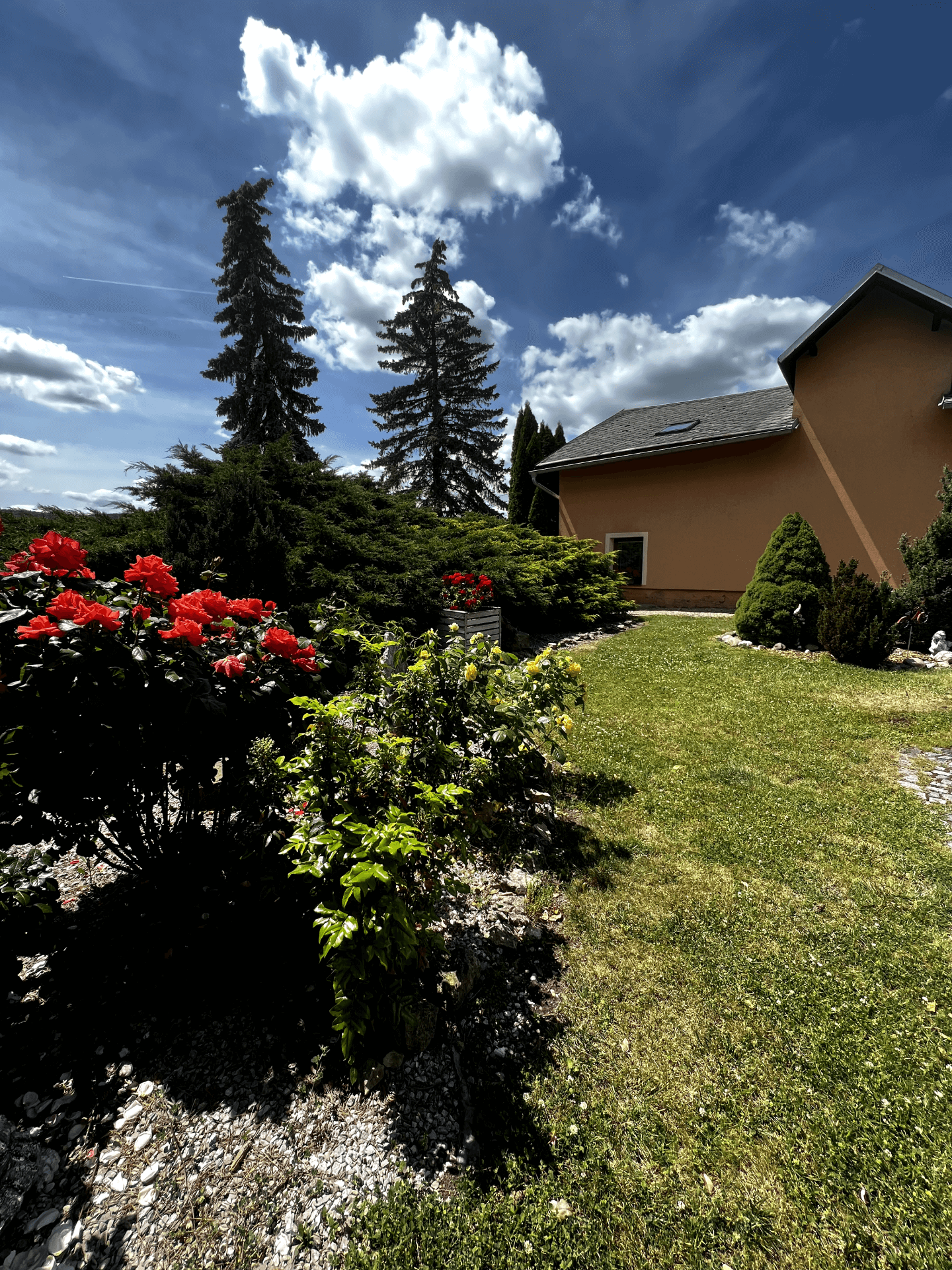 Fotka zahrady